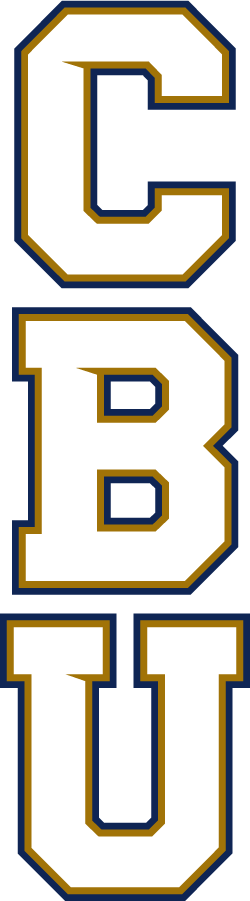 California Baptist Lancers 2017-Pres Wordmark Logo v2 diy iron on heat transfer